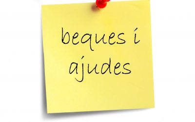 Noves 20 Beques d’un 30% de descompte